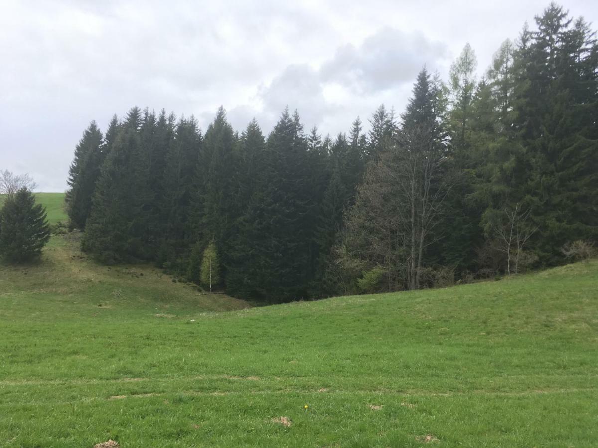Donovaly, Panorama Apartment 53-B Kültér fotó
